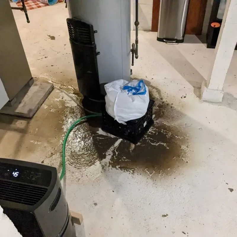 Sewage Backup Cleanup Service in Gibbstown, NJ